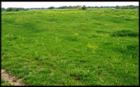 financial return from your ranchland