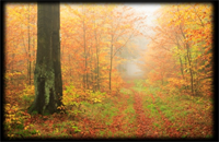 Fall is beautiful and great for hunting