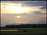 Finca Vigia Ranch