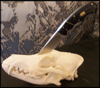 Knife Holder Skull